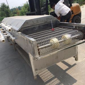 山药链条式清洗机